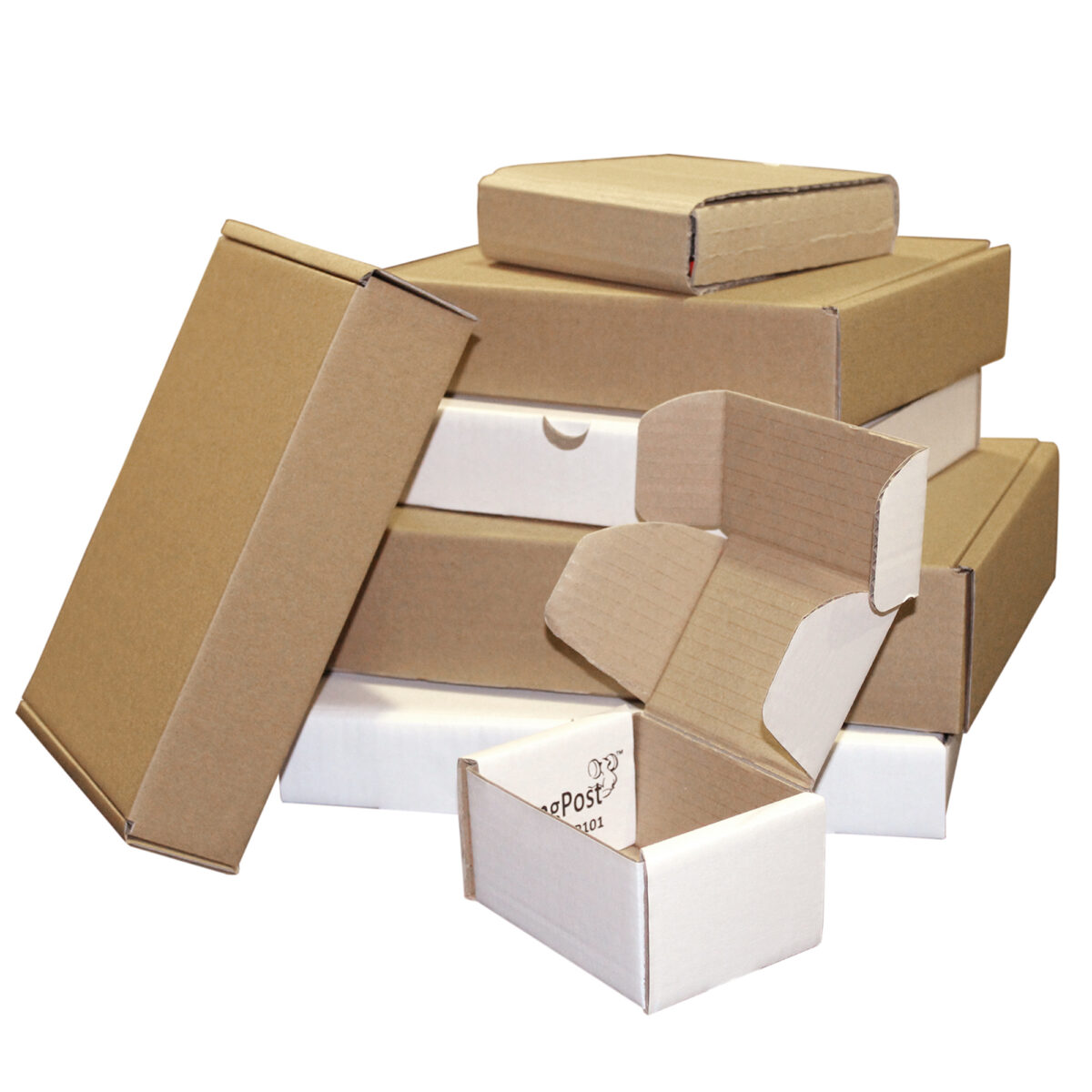 Carton Made to Order Macarthur Wrap & Strap